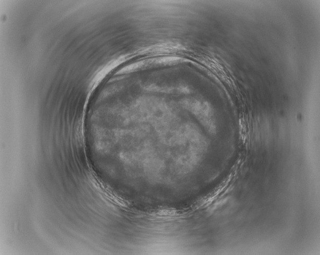 X0000059250196200511041342