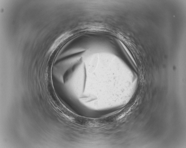 X0000059250199200511041342