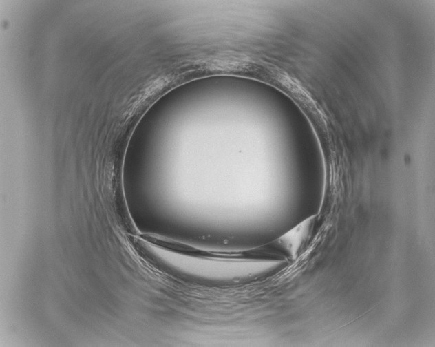 X0000059250201200511041342