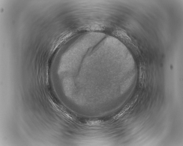 X0000059250202200511041342