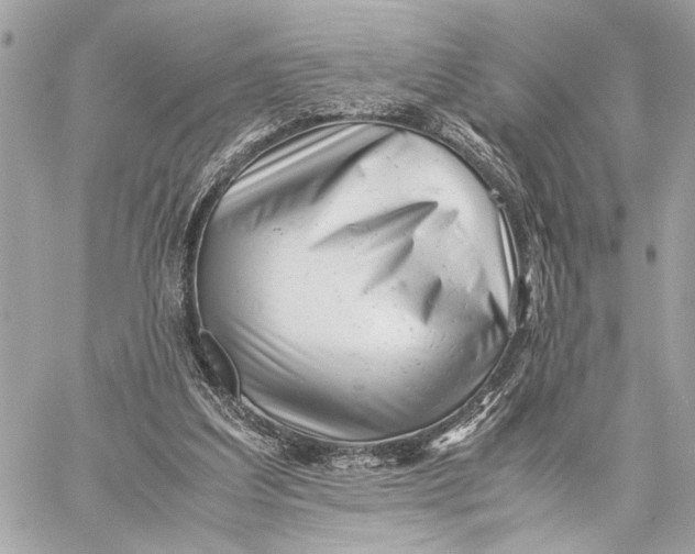 X0000059250203200511041342