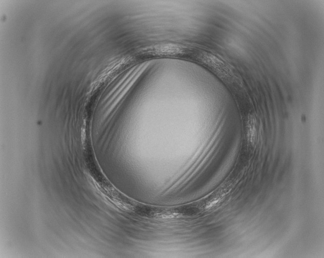 X0000059250206200511041342