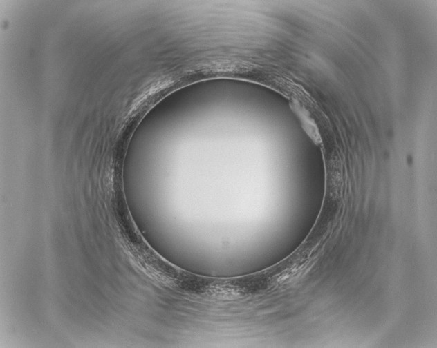 X0000059250207200511041342