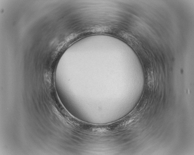 X0000059250208200511041342