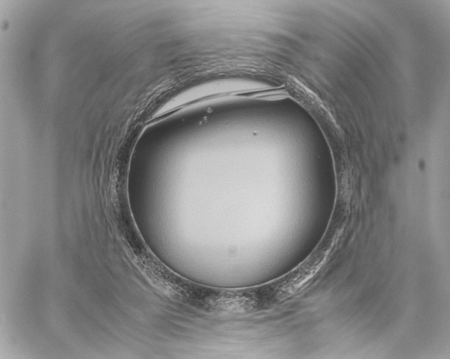 X0000059250209200511041342