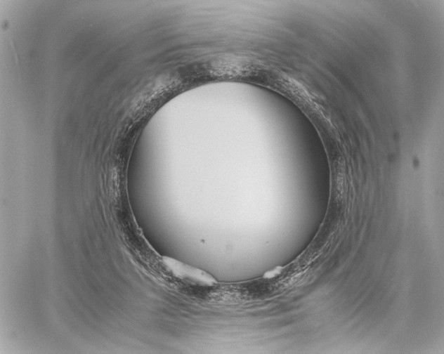 X0000059250211200511041342