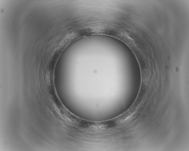 X0000059250213200511041342