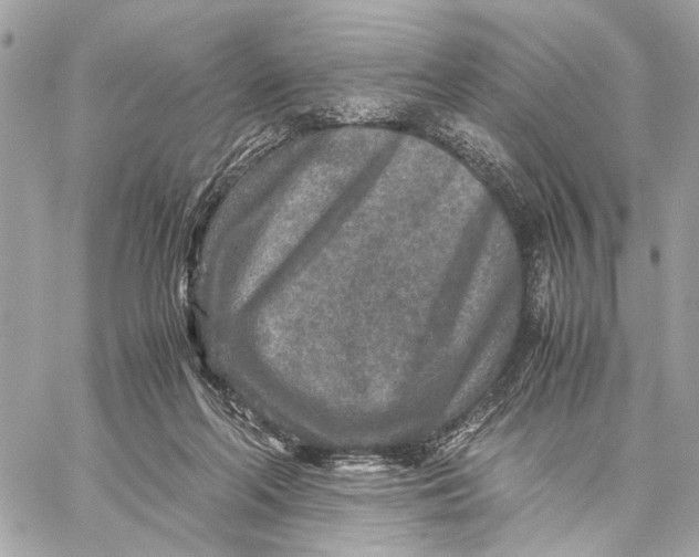 X0000059250214200511041342