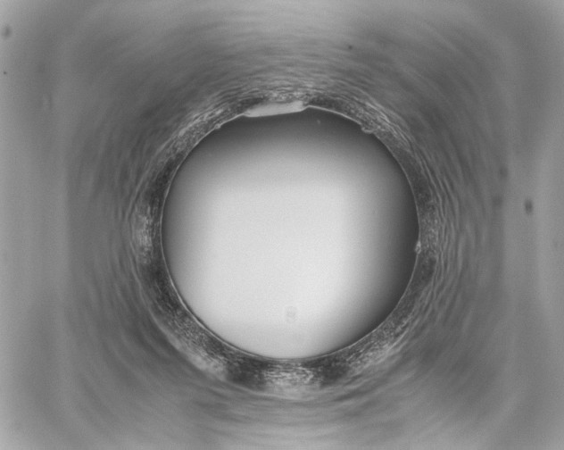 X0000059250215200511041342