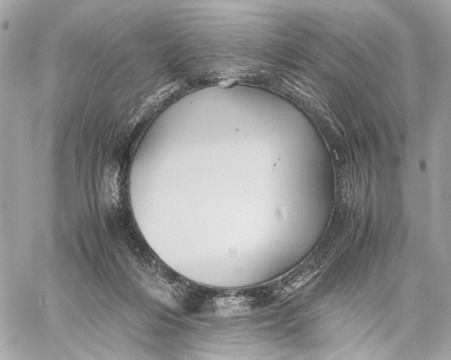 X0000059250216200511041342