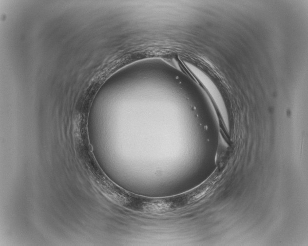 X0000059250217200511041342