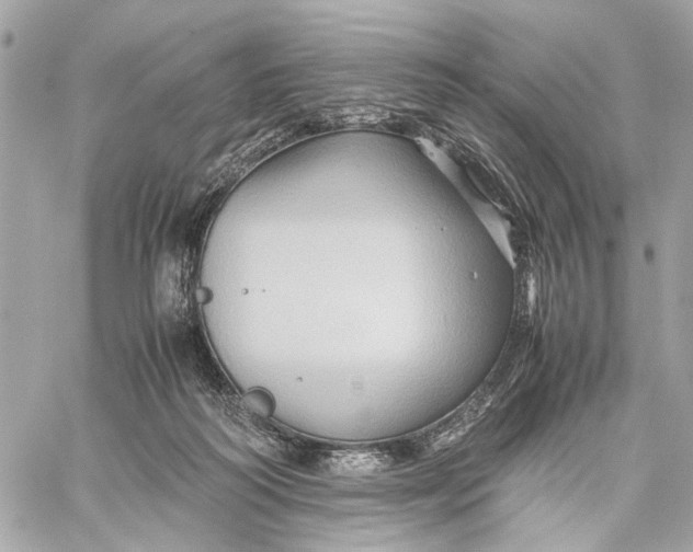 X0000059250218200511041342