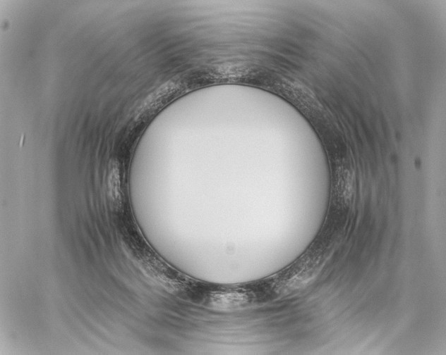 X0000059250220200511041342