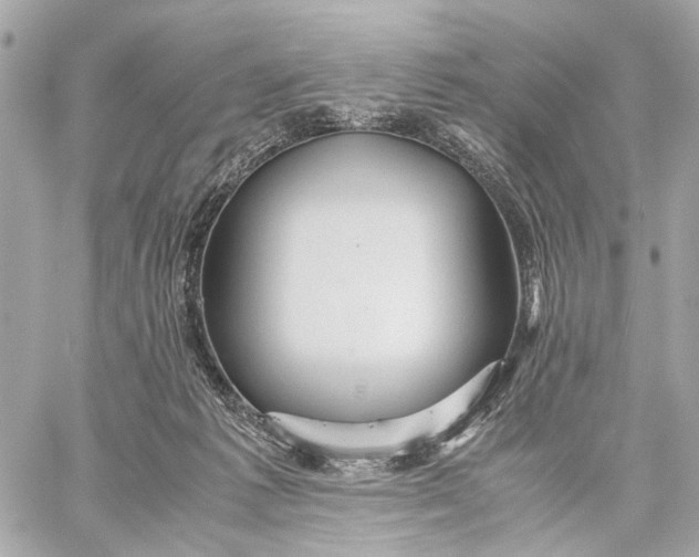 X0000059250221200511041342