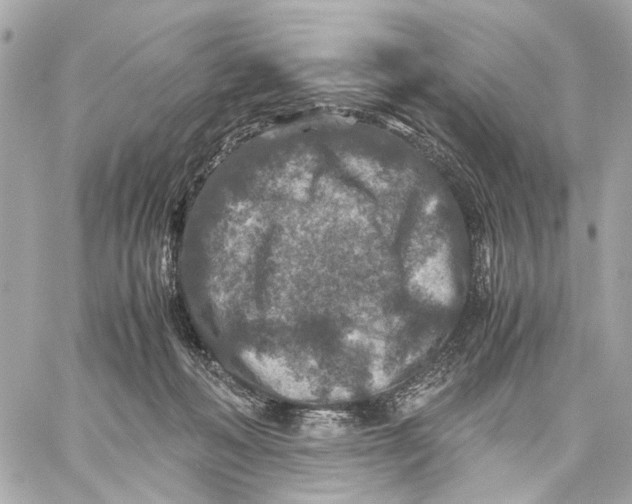 X0000059250222200511041342