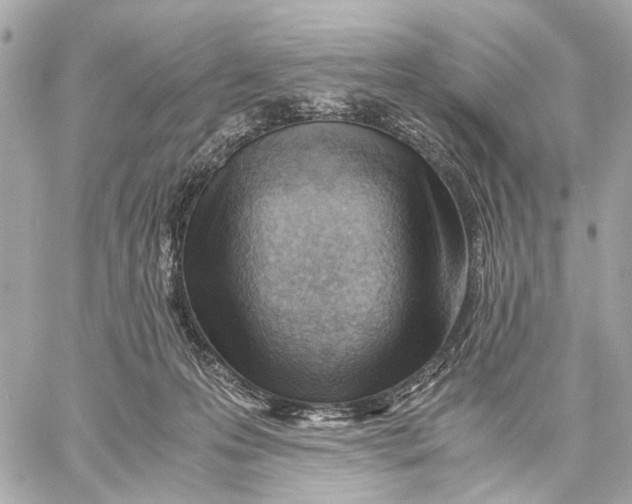 X0000059250223200511041342