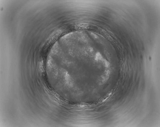 X0000059250224200511041342