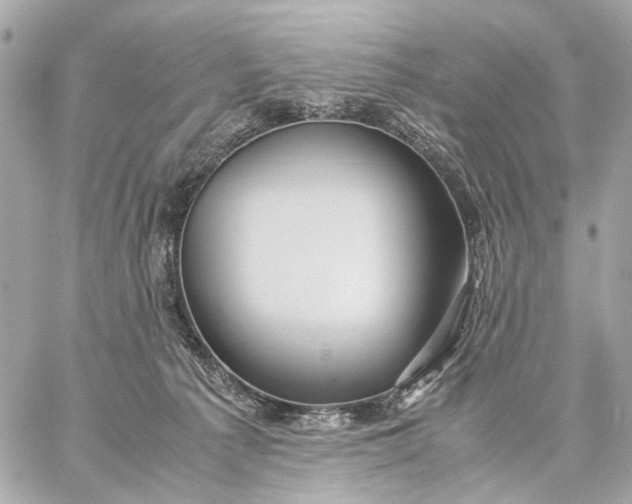 X0000059250225200511041342