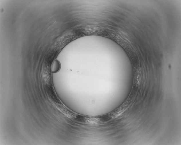 X0000059250226200511041342