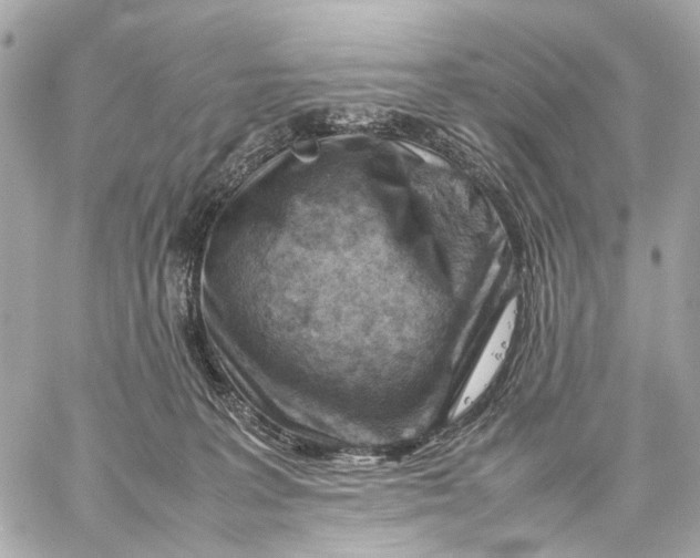 X0000059250227200511041342