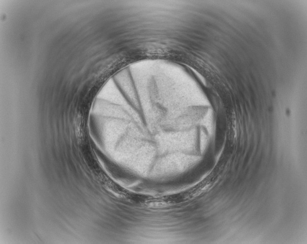 X0000059250228200511041342