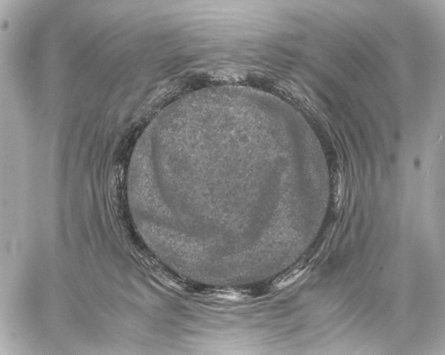 X0000059250229200511041342