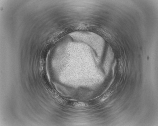 X0000059250230200511041342