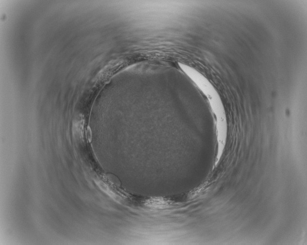 X0000059250231200511041342