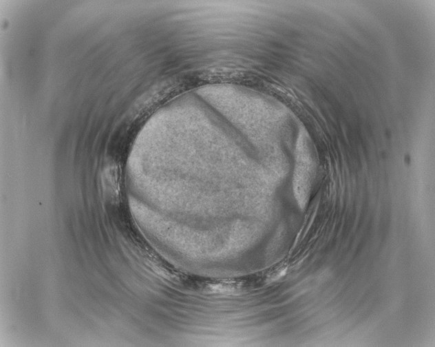 X0000059250232200511041342