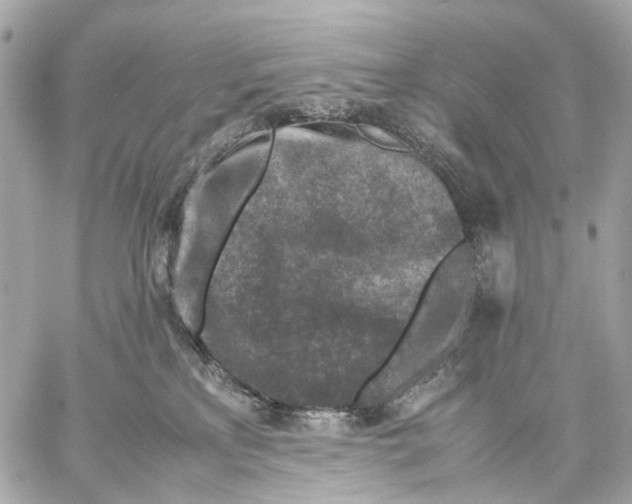 X0000059250233200511041342