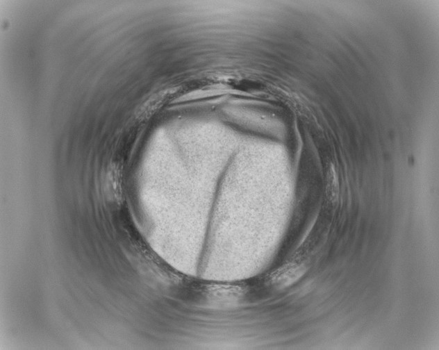 X0000059250234200511041342