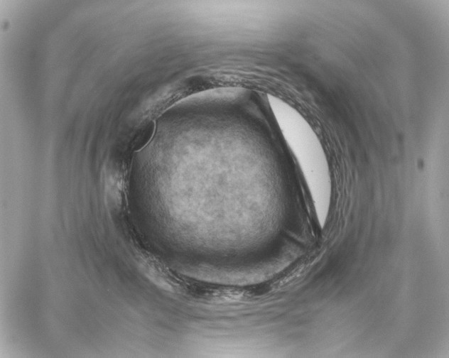 X0000059250235200511041342