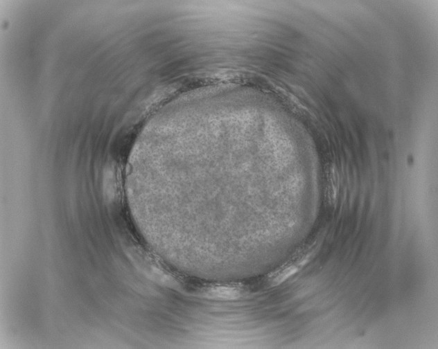 X0000059250236200511041342