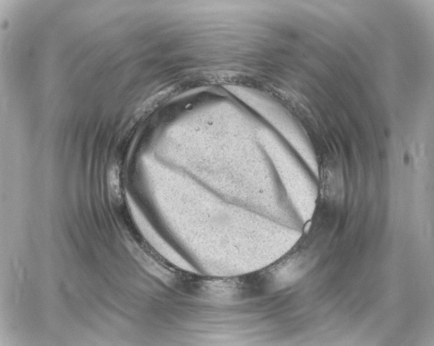 X0000059250238200511041342