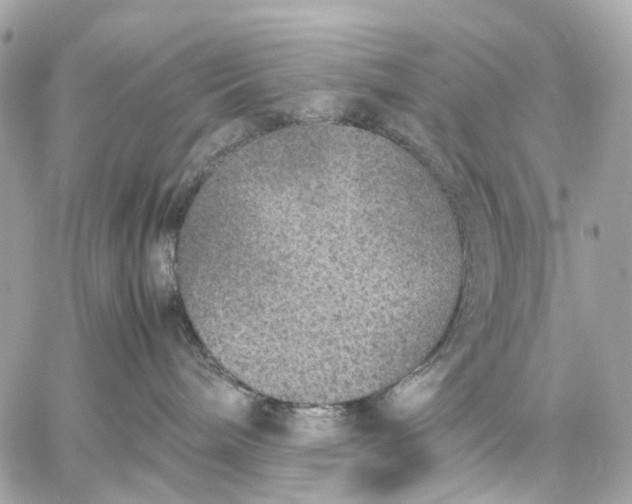 X0000059250240200511041342