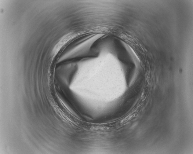 X0000059250242200511041341