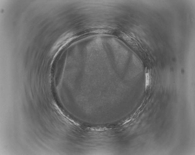 X0000059250243200511041341