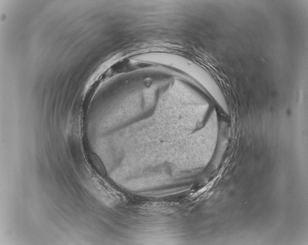 X0000059250244200511041341