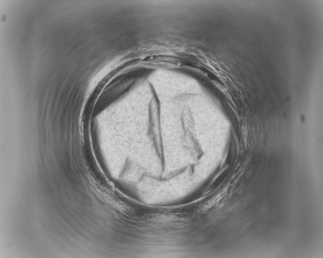 X0000059250246200511041341