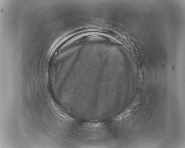 X0000059250247200511041341