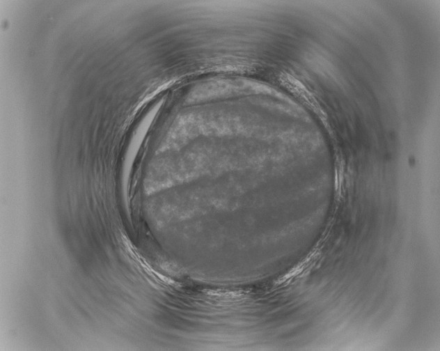 X0000059250249200511041341