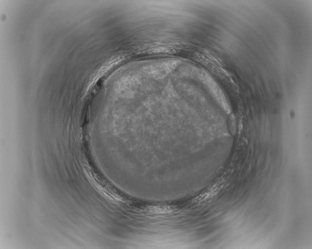 X0000059250250200511041341