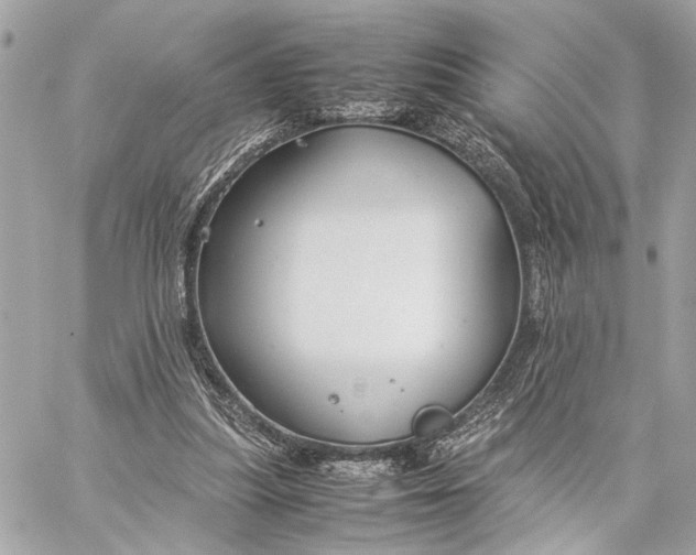 X0000059250251200511041341