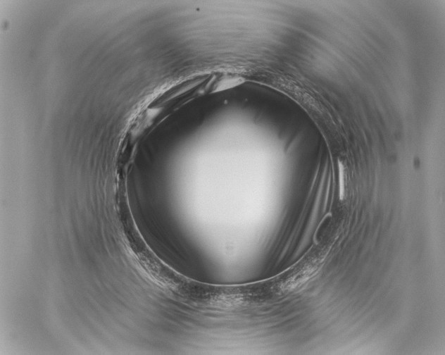 X0000059250252200511041341