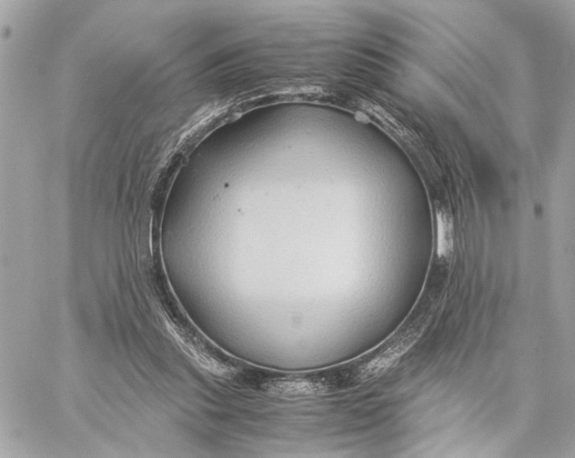 X0000059250253200511041341