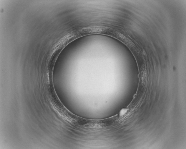 X0000059250254200511041341