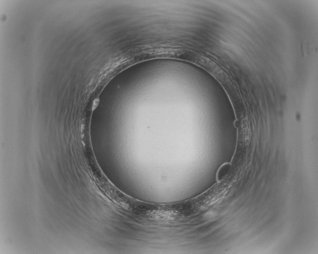 X0000059250255200511041341