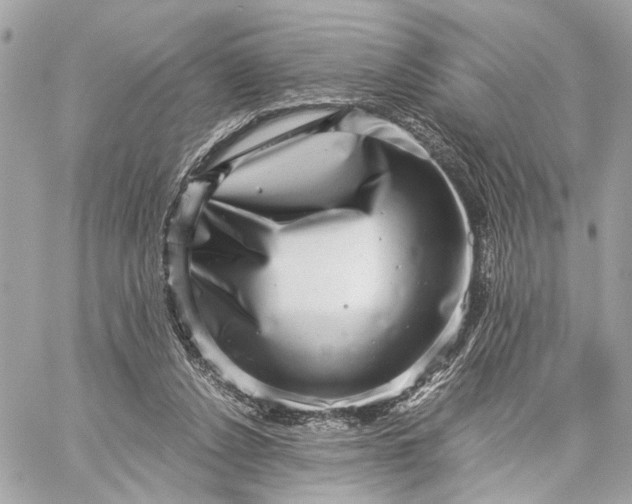 X0000059250256200511041341