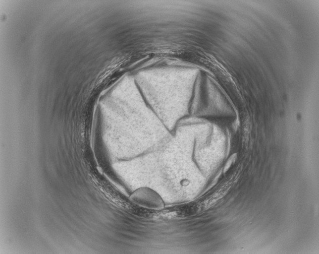 X0000059250257200511041341