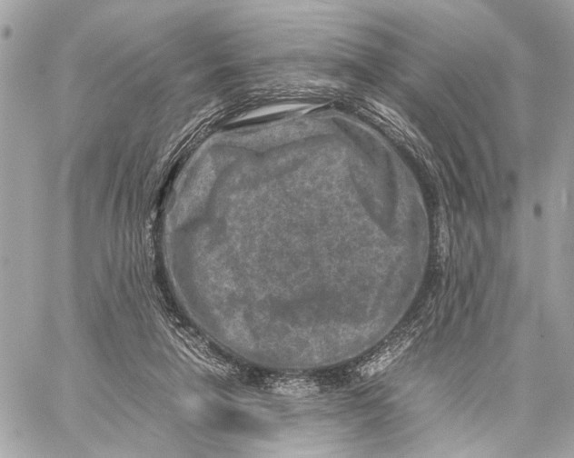 X0000059250258200511041341